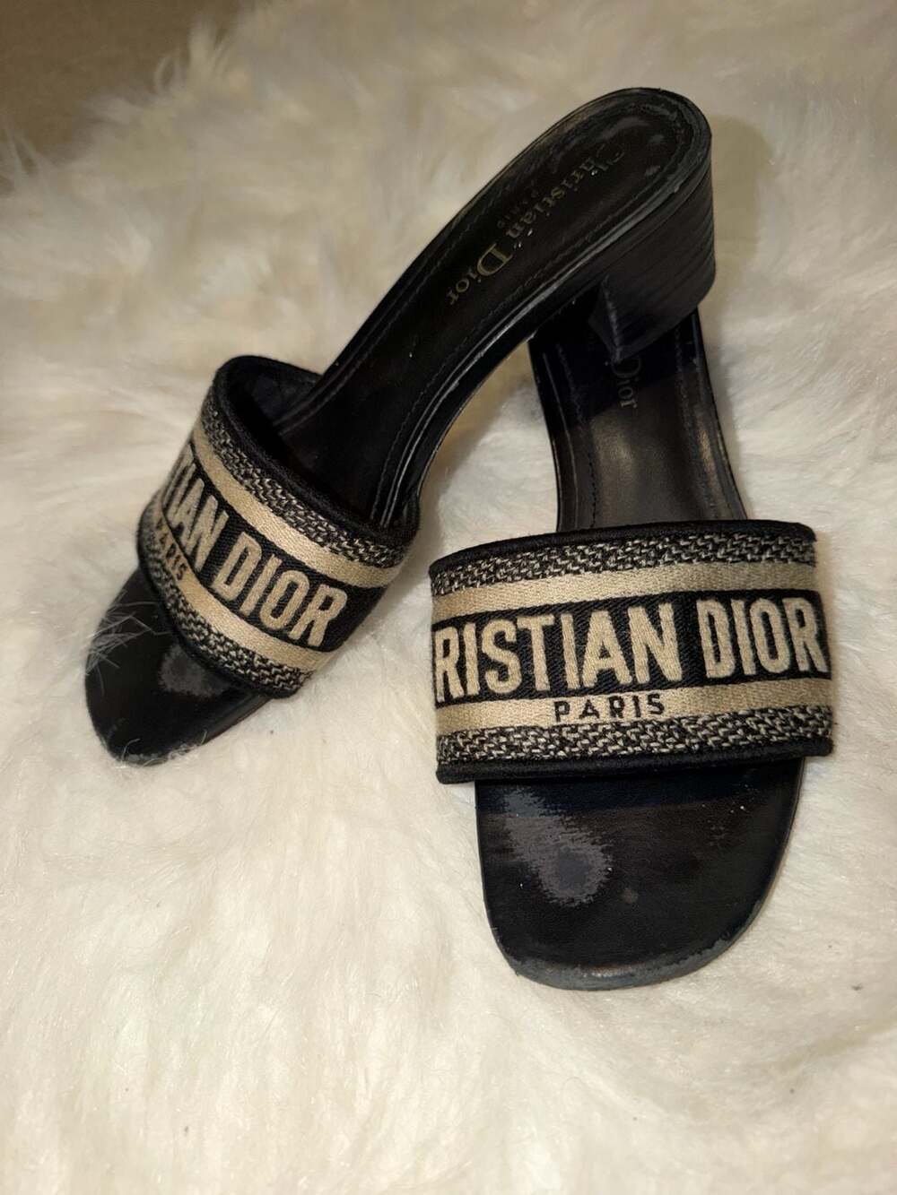 Dior Dway Heeled Slide - KCQ915ERC_S56B